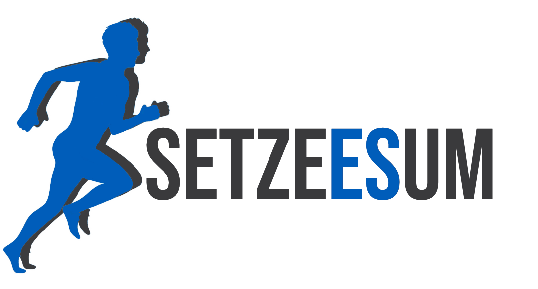 setze-es-um.de
